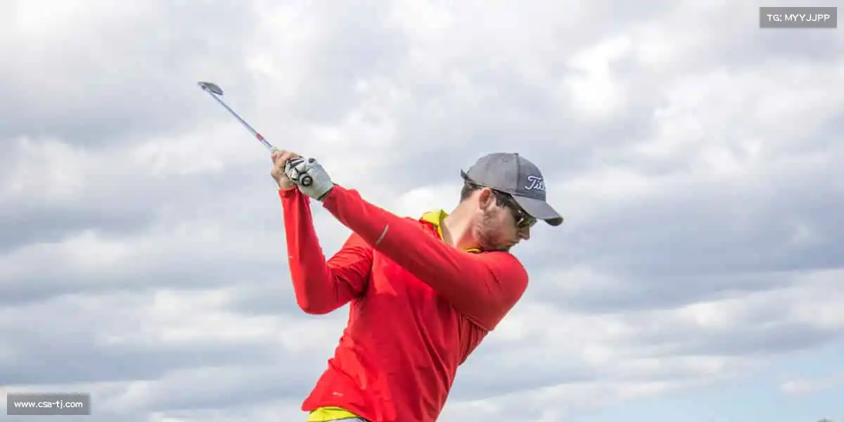 行业领先的理由